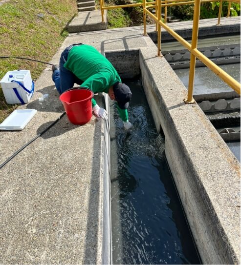 Optimizacion y puesta 2