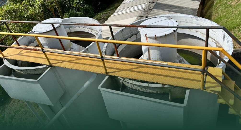 Optimizacion y puesta